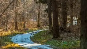 Przedwiośnie w lasach przy Wilkasach, marzec 2021 - zdjęcie 21