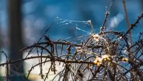 Przedwiośnie w lasach przy Wilkasach, marzec 2021 - zdjęcie 7