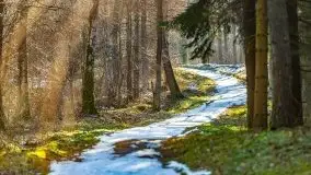 Przedwiośnie w lasach przy Wilkasach, marzec 2021 - zdjęcie 9