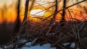 Marcowy zachód słońca nad jeziorem Kisajno - zdjęcie 38