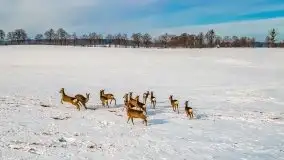 Mazury u progu wiosny, ujęcia z różnych miejsc - zdjęcie 12