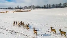 Mazury u progu wiosny, ujęcia z różnych miejsc - zdjęcie 22