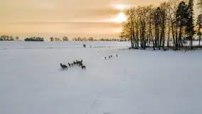 Mazury u progu wiosny, ujęcia z różnych miejsc - zdjęcie 6
