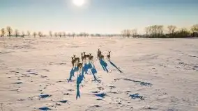 Mazury u progu wiosny, ujęcia z różnych miejsc - zdjęcie 40