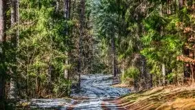 Mazury u progu wiosny, ujęcia z różnych miejsc - zdjęcie 3