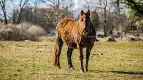 Mazury u progu wiosny, ujęcia z różnych miejsc - zdjęcie 51