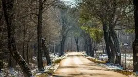 Mazury u progu wiosny, ujęcia z różnych miejsc - zdjęcie 69