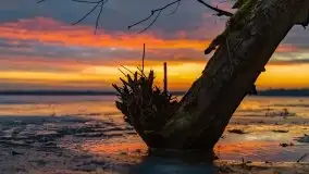 Za takie wschody słońca kochamy Mazury - zdjęcie 31