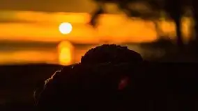 Za takie wschody słońca kochamy Mazury - zdjęcie 65