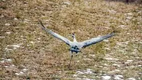 Miłośnicy Mazur - przedwiośnie na zdjęciach Staszka Sielewicza - zdjęcie 41