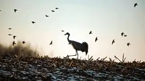 Miłośnicy Mazur - przedwiośnie na zdjęciach Staszka Sielewicza - zdjęcie 17