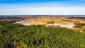 Przedwiośnie 2021 nad jeziorem Białym - zdjęcie 27