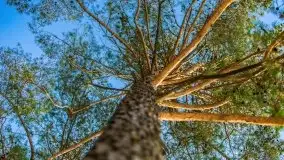 Przedwiośnie 2021 nad jeziorem Białym - zdjęcie 32