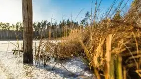 Przedwiośnie 2021 nad jeziorem Białym - zdjęcie 43