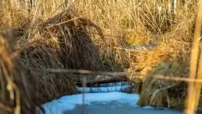 Przedwiośnie 2021 nad jeziorem Białym - zdjęcie 61