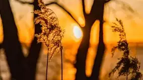 Efekt halo - zachód słońca nad jeziorem Dargin - zdjęcie 43