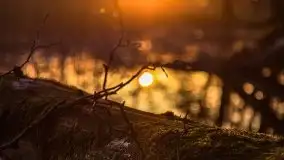 Zachód słońca nad jeziorem Gołdopiwo, od strony Przerwanek - zdjęcie 42