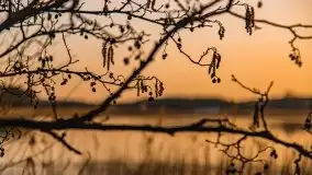 Zachód słońca nad jeziorem Gołdopiwo, od strony Przerwanek - zdjęcie 10