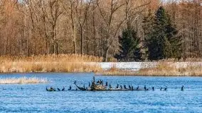 Przeprawa na Mazury, rzeki Narew i Pisa - zdjęcie 4