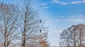 Przeprawa na Mazury, rzeki Narew i Pisa - zdjęcie 59
