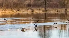 Przeprawa na Mazury, rzeki Narew i Pisa - zdjęcie 91
