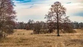 Przeprawa na Mazury, rzeki Narew i Pisa - zdjęcie 35