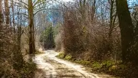 Przedwiosenny zachód słońca w porcie Kal, jezioro Mamry - zdjęcie 14