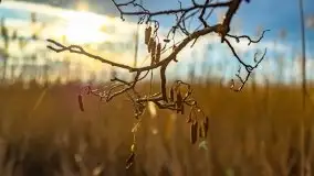 Przedwiosenny zachód słońca w porcie Kal, jezioro Mamry - zdjęcie 35