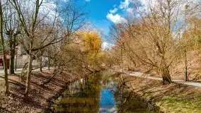 Szukaliśmy oznak wiosny w Olecku - zdjęcie 22