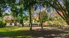 Szukaliśmy oznak wiosny w Olecku - zdjęcie 79