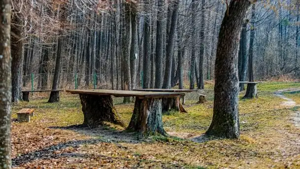 Śluza Karwik na początku wiosny 2021 - zdjęcie 11