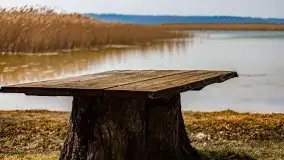 Śluza Karwik na początku wiosny 2021 - zdjęcie 26