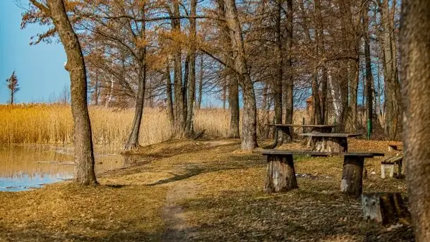 Śluza Karwik na początku wiosny 2021 - zdjęcie 6