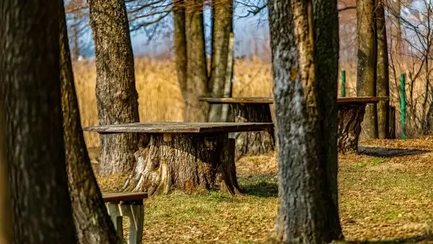 Śluza Karwik na początku wiosny 2021 - zdjęcie 7