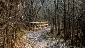 Śluza Karwik na początku wiosny 2021 - zdjęcie 20