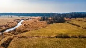 Przedwiośnie przy rzece Białoławka, marzec 2021 - zdjęcie 10