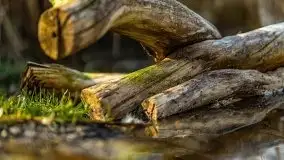 Przedwiośnie przy rzece Białoławka, marzec 2021 - zdjęcie 8