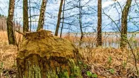 Kwietniowy deszczowy zachód słońca nad jeziorem Kruklin - zdjęcie 5