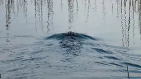 Kwietniowy wschód słońca nad jeziorem Kruklin - zdjęcie 16