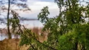 Kwietniowy wschód słońca nad jeziorem Kruklin - zdjęcie 25