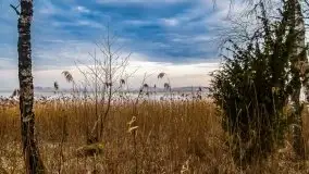 Kwietniowy wschód słońca nad jeziorem Kruklin - zdjęcie 22