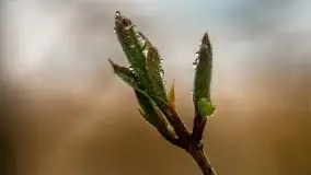 Kwietniowy wschód słońca nad jeziorem Kruklin - zdjęcie 32