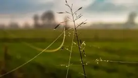 Kwietniowy wschód słońca nad jeziorem Kruklin - zdjęcie 30