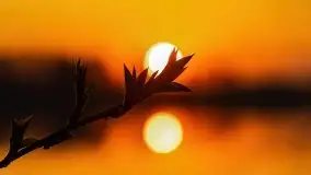 Wiosenny wschód słońca nad jeziorem Stręgiel - zdjęcie 29