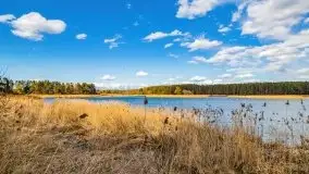 Piecki, ścieżka edukacyjna wokół stawu - zdjęcie 15