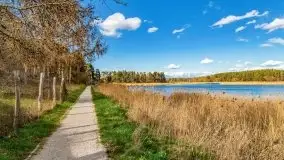 Piecki, ścieżka edukacyjna wokół stawu - zdjęcie 7