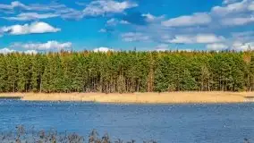 Piecki, ścieżka edukacyjna wokół stawu - zdjęcie 28