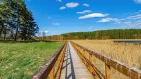 Piecki, ścieżka edukacyjna wokół stawu - zdjęcie 30