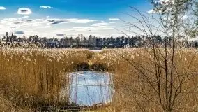 Piecki, ścieżka edukacyjna wokół stawu - zdjęcie 58