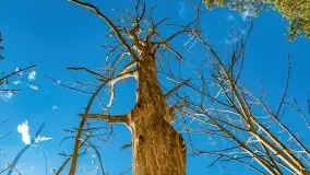 Piecki, ścieżka edukacyjna wokół stawu - zdjęcie 51